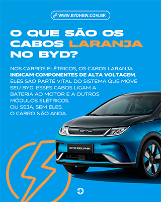 Cabos laranjas no seu BYD. O que são?